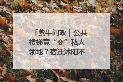 紫牛问政｜公共楼梯竟“变”私人领地？宿迁沭阳不动产登记引质疑