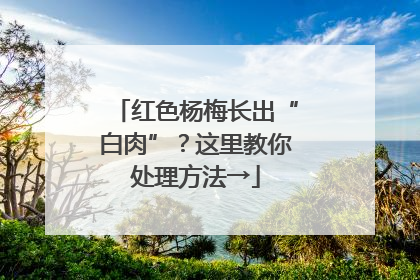 红色杨梅长出“白肉”？这里教你处理方法→