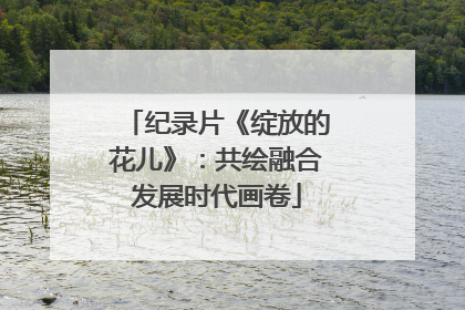 纪录片《绽放的花儿》：共绘融合发展时代画卷