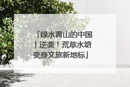 绿水青山的中国丨逆袭！荒草水塘变身文旅新地标