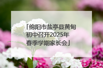 绵阳市盐亭县黄甸初中召开2025年春季学期家长会