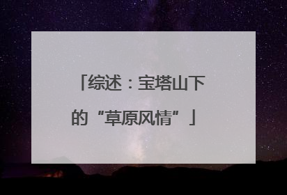 综述：宝塔山下的“草原风情”
