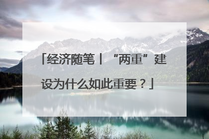 经济随笔丨“两重”建设为什么如此重要？