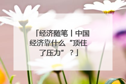 经济随笔丨中国经济靠什么“顶住了压力”？