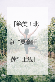 绝美！北京“莫奈睡莲”上线