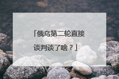 俄乌第二轮直接谈判谈了啥？