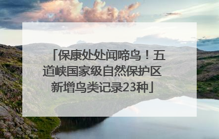 保康处处闻啼鸟！五道峡国家级自然保护区新增鸟类记录23种