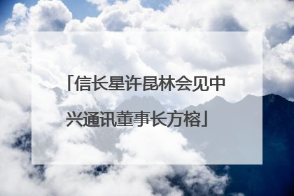 信长星许昆林会见中兴通讯董事长方榕