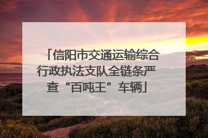 信阳市交通运输综合行政执法支队全链条严查“百吨王”车辆