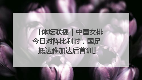 体坛联播｜中国女排今日对阵比利时，国足抵达雅加达后首训