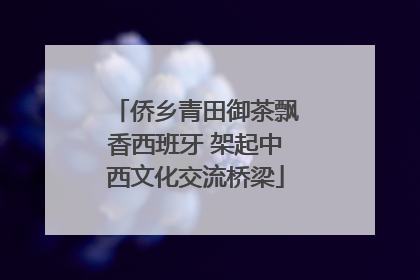 侨乡青田御茶飘香西班牙 架起中西文化交流桥梁