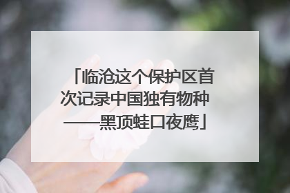 临沧这个保护区首次记录中国独有物种——黑顶蛙口夜鹰