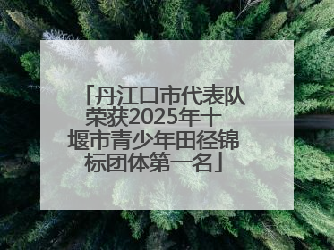 丹江口市代表队荣获2025年十堰市青少年田径锦标团体第一名