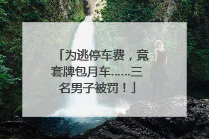 为逃停车费，竟套牌包月车……三名男子被罚！