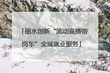 丽水创新“流动直播带岗车”全域就业服务