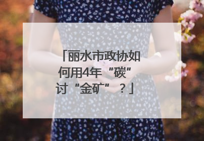 丽水市政协如何用4年“碳”讨“金矿”？