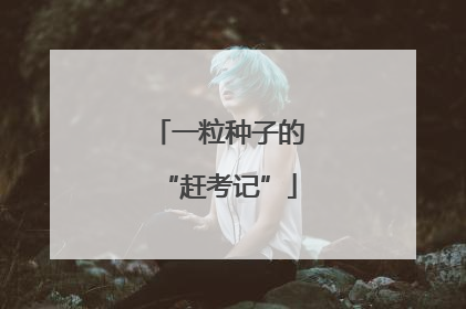 一粒种子的“赶考记”