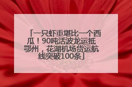一只虾重堪比一个西瓜！90吨活波龙运抵鄂州，花湖机场货运航线突破100条
