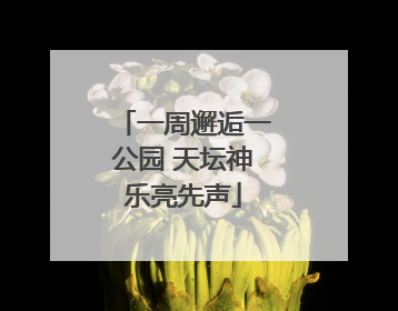 一周邂逅一公园 天坛神乐亮先声