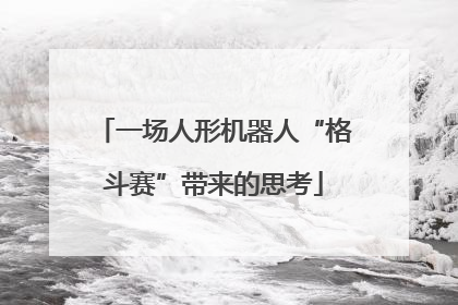 一场人形机器人“格斗赛”带来的思考