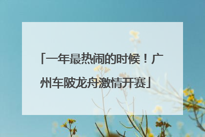 一年最热闹的时候！广州车陂龙舟激情开赛