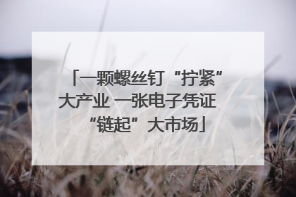 一颗螺丝钉“拧紧”大产业 一张电子凭证“链起”大市场