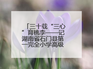 三十载“三心”育桃李——记湖南省石门县第一完全小学高级教师覃玲君