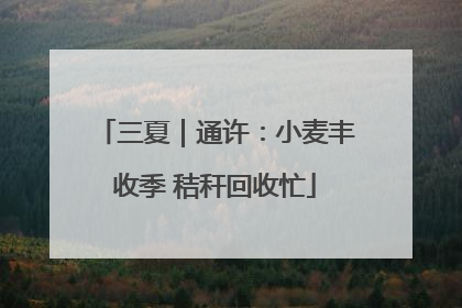 三夏｜通许：小麦丰收季 秸秆回收忙