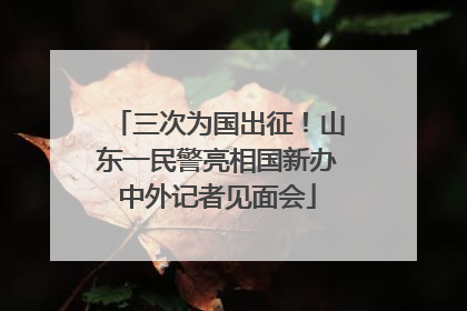 三次为国出征！山东一民警亮相国新办中外记者见面会