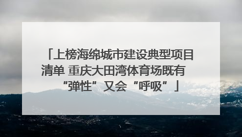 上榜海绵城市建设典型项目清单 重庆大田湾体育场既有“弹性”又会“呼吸”