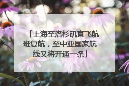 上海至洛杉矶直飞航班复航，至中亚国家航线又将开通一条