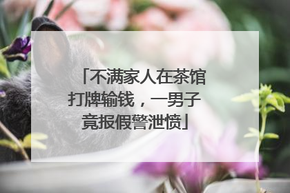 不满家人在茶馆打牌输钱，一男子竟报假警泄愤
