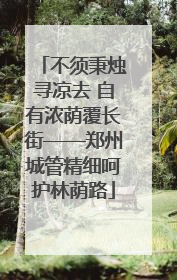不须秉烛寻凉去 自有浓荫覆长街——郑州城管精细呵护林荫路