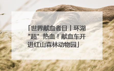 世界献血者日丨环湖“超”热血！献血车开进红山森林动物园
