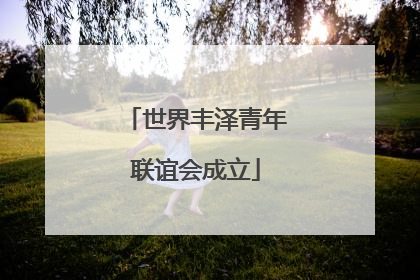 世界丰泽青年联谊会成立