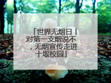 世界无烟日丨对第一支烟说不，无烟宣传走进十堰校园