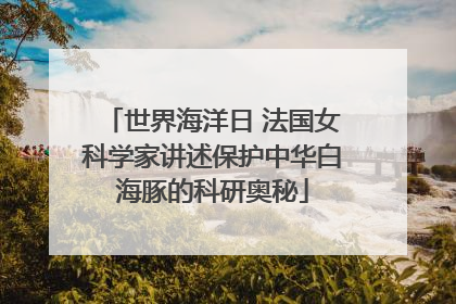 世界海洋日 法国女科学家讲述保护中华白海豚的科研奥秘