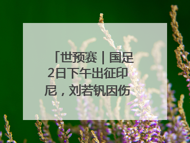 世预赛｜国足2日下午出征印尼，刘若钒因伤落选大名单