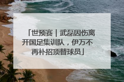 世预赛｜武磊因伤离开国足集训队，伊万不再补招顶替球员