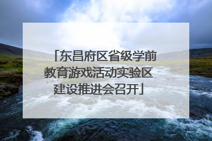东昌府区省级学前教育游戏活动实验区建设推进会召开