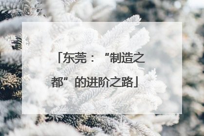 东莞：“制造之都”的进阶之路