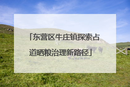 东营区牛庄镇探索占道晒粮治理新路径