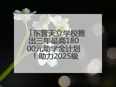 东营天立学校推出三年最高18000元助学金计划！助力2025级新生扬帆起航