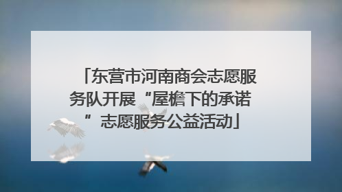 东营市河南商会志愿服务队开展“屋檐下的承诺”志愿服务公益活动