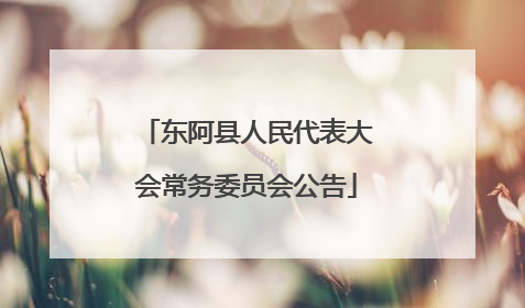 东阿县人民代表大会常务委员会公告