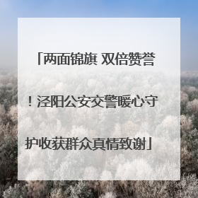 两面锦旗 双倍赞誉！泾阳公安交警暖心守护收获群众真情致谢