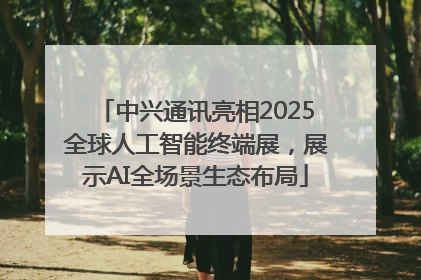 中兴通讯亮相2025全球人工智能终端展，展示AI全场景生态布局