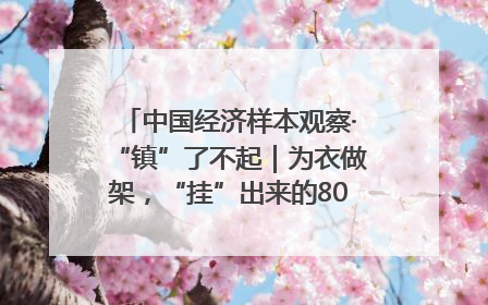 中国经济样本观察·“镇”了不起｜为衣做架，“挂”出来的80亿元“衣架产业”