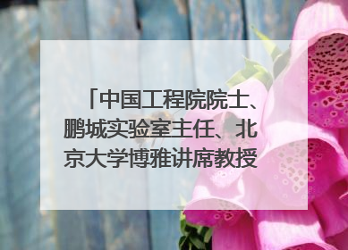 中国工程院院士、鹏城实验室主任、北京大学博雅讲席教授高文：“以人为本 智能向善” 推动文化与科技相生相促｜聚焦2025文化强国建设高峰论坛