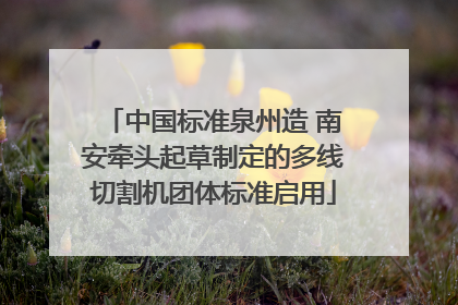 中国标准泉州造 南安牵头起草制定的多线切割机团体标准启用